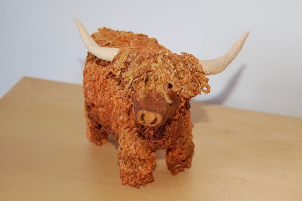 Highland Cattle